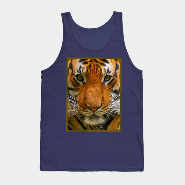 Tiger Stripes Tank Top by The Attoram Studio